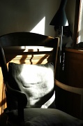 12th Aug 2012 - Morning sun in the living room