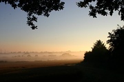 10th Aug 2012 - Misty Hedgerows
