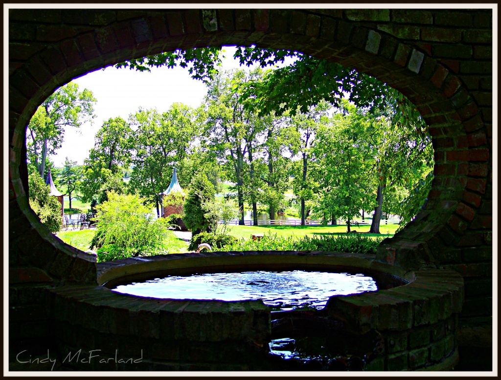 Looking Through the Oval Opening by cindymc