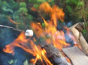 6th Aug 2012 - S'mores