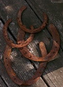 16th Aug 2012 - Rusty horseshoes...