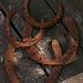Rusty horseshoes... by marlboromaam