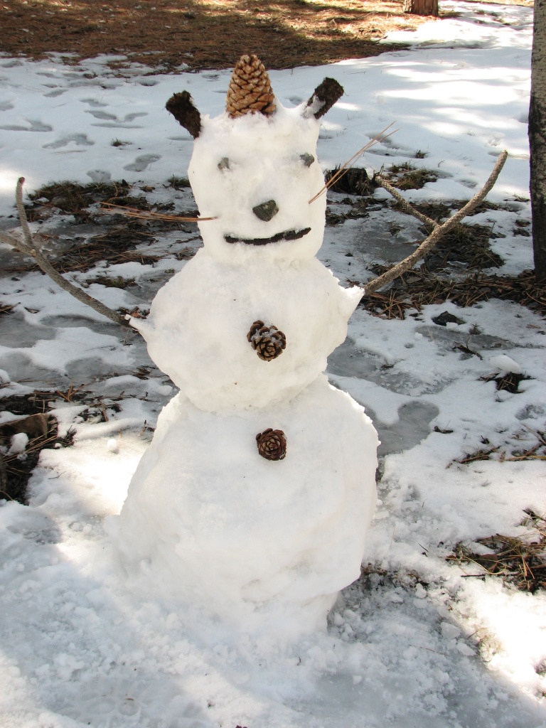 Frosty the SnowBear by cheriseinsocal