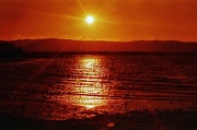 14th Aug 2012 - Golden sun