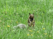 14th Aug 2012 - Squirrely guy.
