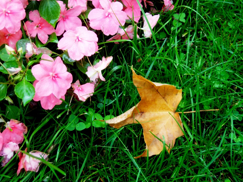 Fall is in the air by bruni