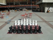 14th Aug 2012 - Checkmate