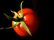 14th Aug 2012 - Tomato