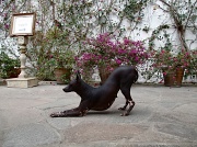 14th Aug 2012 - Suma, la perrita del museo LARCO