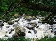 15th Aug 2012 - White Water