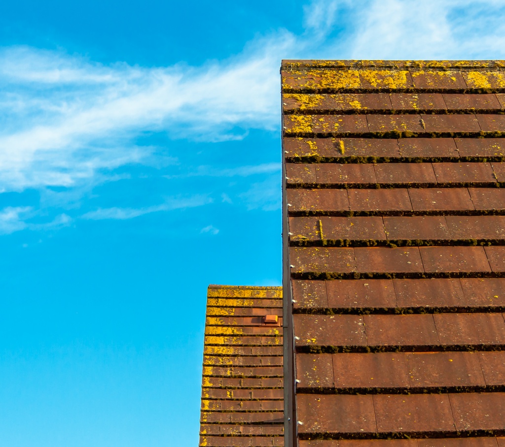 golden roof by peadar