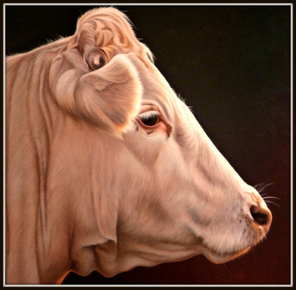 Bull by tonygig
