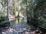 10th Aug 2012 - Gently Down The Stream