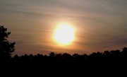 17th Aug 2012 - Sunrise