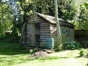 17th Aug 2012 - Garden shed in the afternoon sun