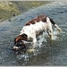 Splashing About! by carolmw