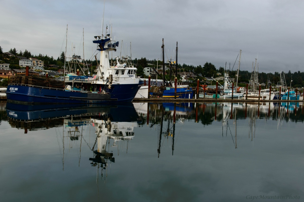 Marina Reflections on a Cloudy Day by jgpittenger