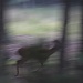 Deer Abstract by hjbenson