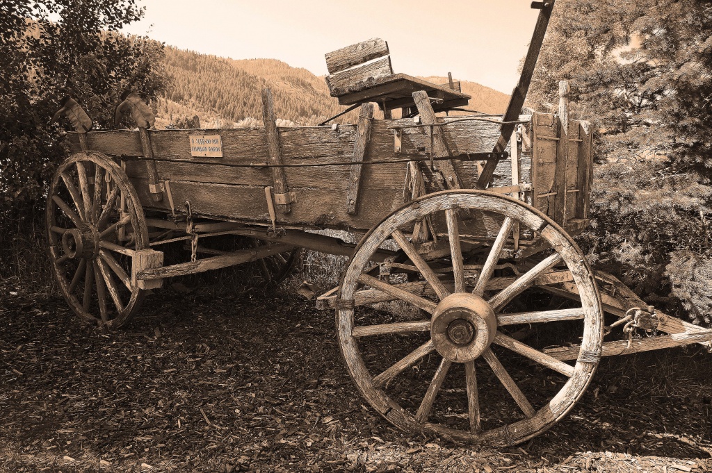 wagon in sepia by dmdfday