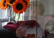 18th Aug 2012 - Ghosts, Dinosaurs and Day-Glo Sunflowers