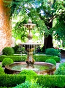 18th Aug 2012 - Behold The Beauty Of A Fountain