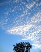 18th Aug 2012 - Just sky....