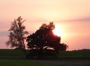 19th Aug 2012 - Another sunset