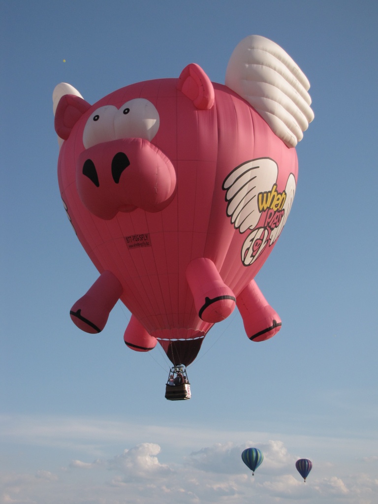 When Pigs Fly by photogypsy