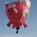 When Pigs Fly by photogypsy
