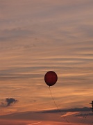 19th Aug 2012 - Single Red Balloon