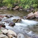 Ten Mile Creek by lynne5477