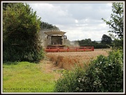 20th Aug 2012 - Harvest Time