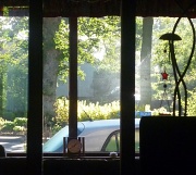 20th Aug 2012 - morning light too