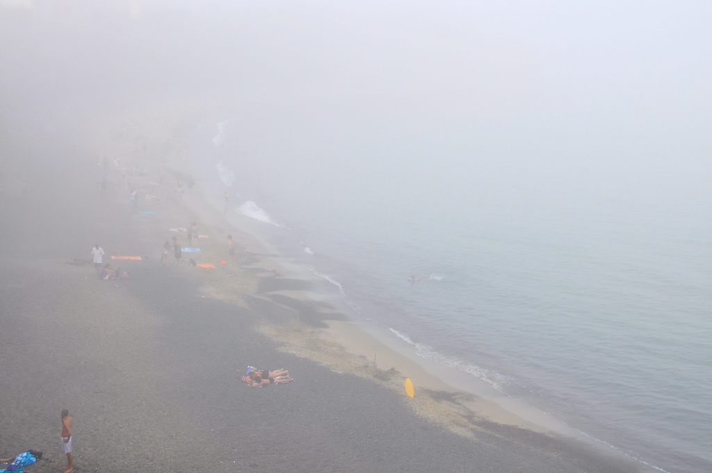 The fog by cocobella
