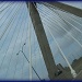 Zakim Bridge, Boston Mass. by olivetreeann