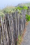 7th Aug 2012 - The wooden fence
