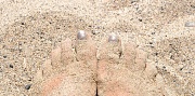 21st Aug 2012 - my chameleon feet