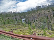 16th Aug 2012 -  Yellowstone burn area 