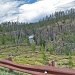  Yellowstone burn area  by dmdfday