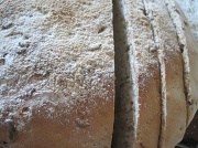 21st Aug 2012 - Day 2: Orange                         - fresh baked bread