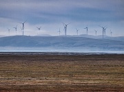 21st Aug 2012 - Out of the mist