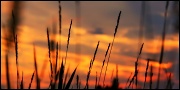 20th Aug 2012 - Prairie Sunset