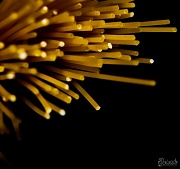 21st Aug 2012 - Spaghetti 
