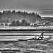 Black and White Panorama by jgpittenger