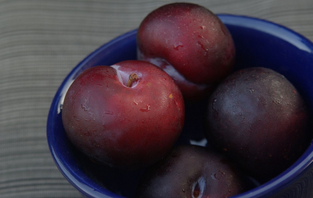 (Day 189) - Plum Happy by cjphoto