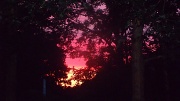 21st Aug 2012 - Red Sky At Night