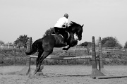 21st Aug 2012 - Jumping