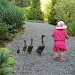 Ducks in a Row by sunnygreenwood