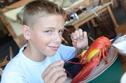 14th Aug 2012 - lobstah!