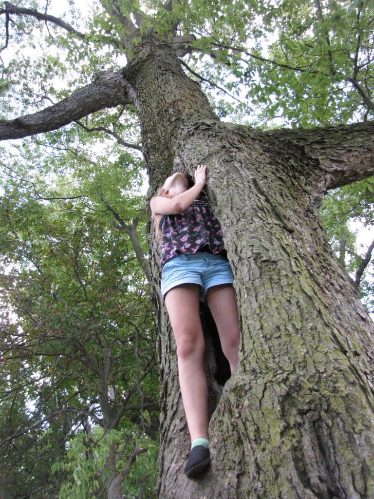 In a Tree by photogypsy